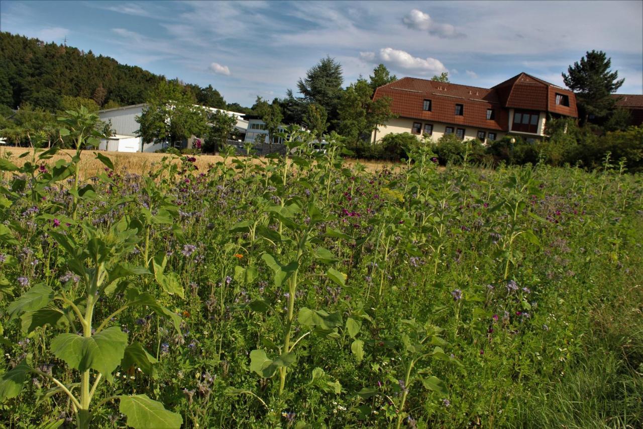 Landhotel Am Rothenberg Uslar Bagian luar foto