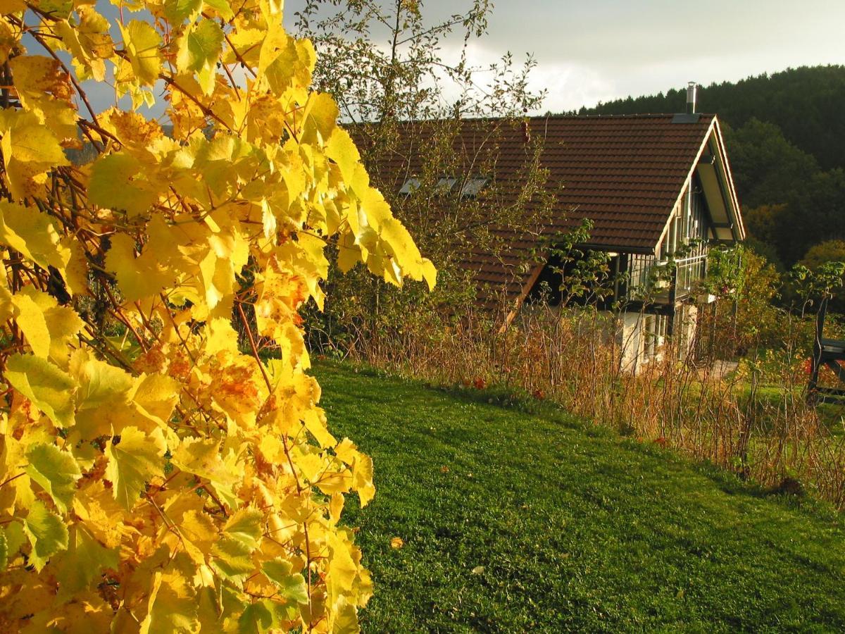 Landhotel Am Rothenberg Uslar Bagian luar foto