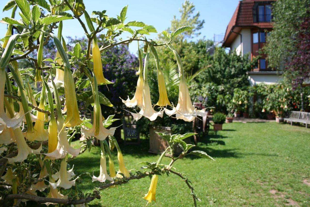 Landhotel Am Rothenberg Uslar Bagian luar foto